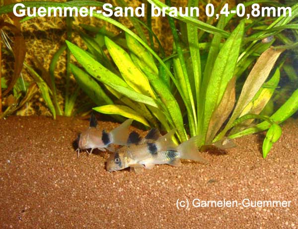 Aquariensand Welse braun 0,4-0,8mm Aquariensand Welse braun 0,4-0,8mm