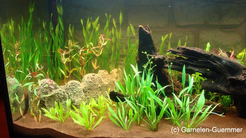Aquariensand braun Aquarium Guemmer Sand braun 0,4-0,8mm