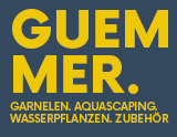 Garnelen online kaufen 