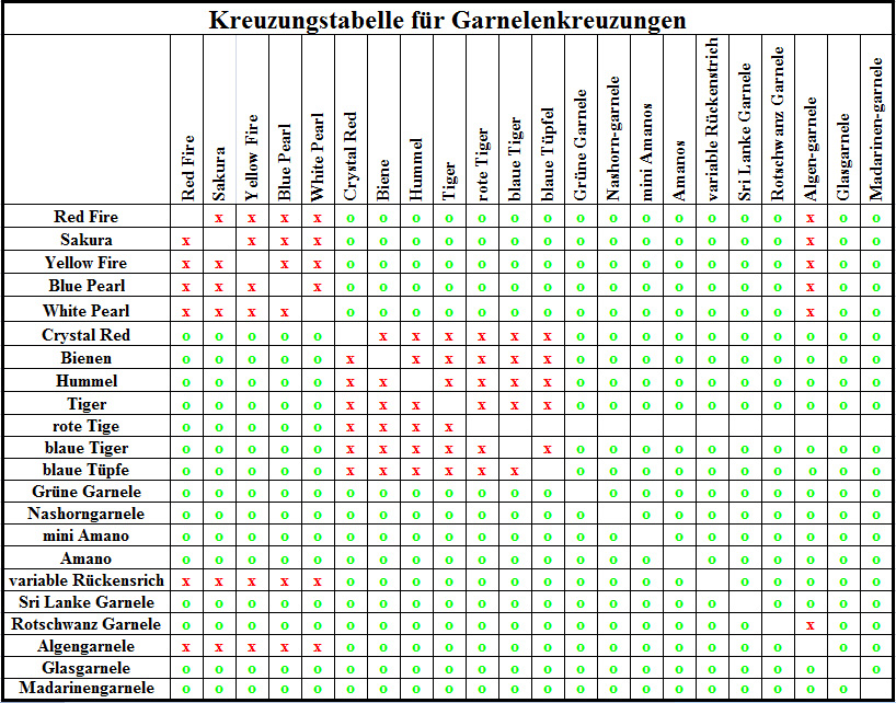 Garnelen Kreuzungstabelle